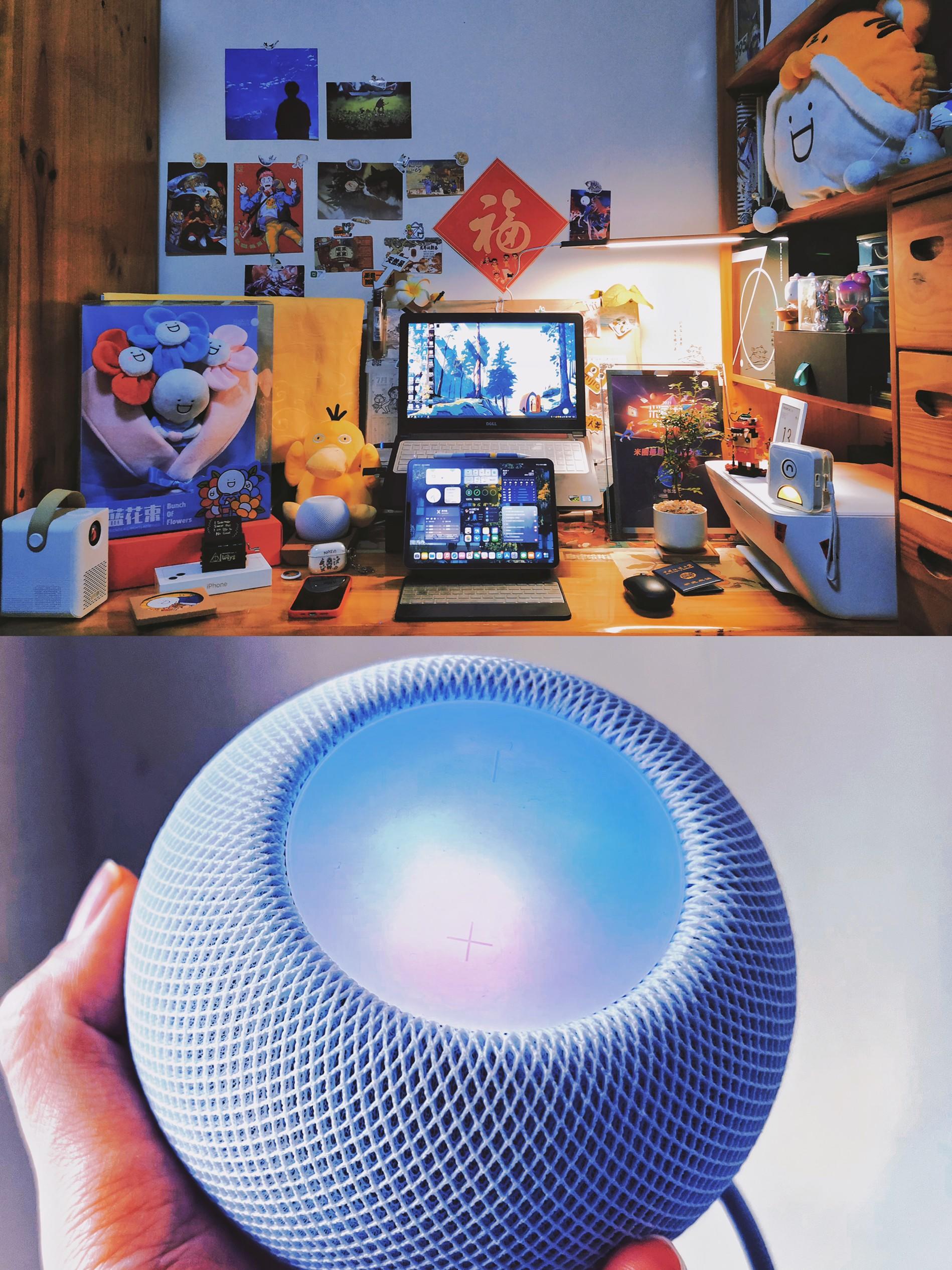 情人节数码桌面|HomePod mini yyds!